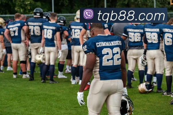 谈球吧官网平台生态图