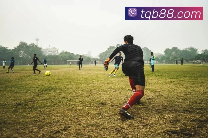 谈球吧官网APP 封面图